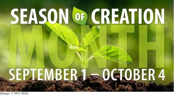 Season of creation 3